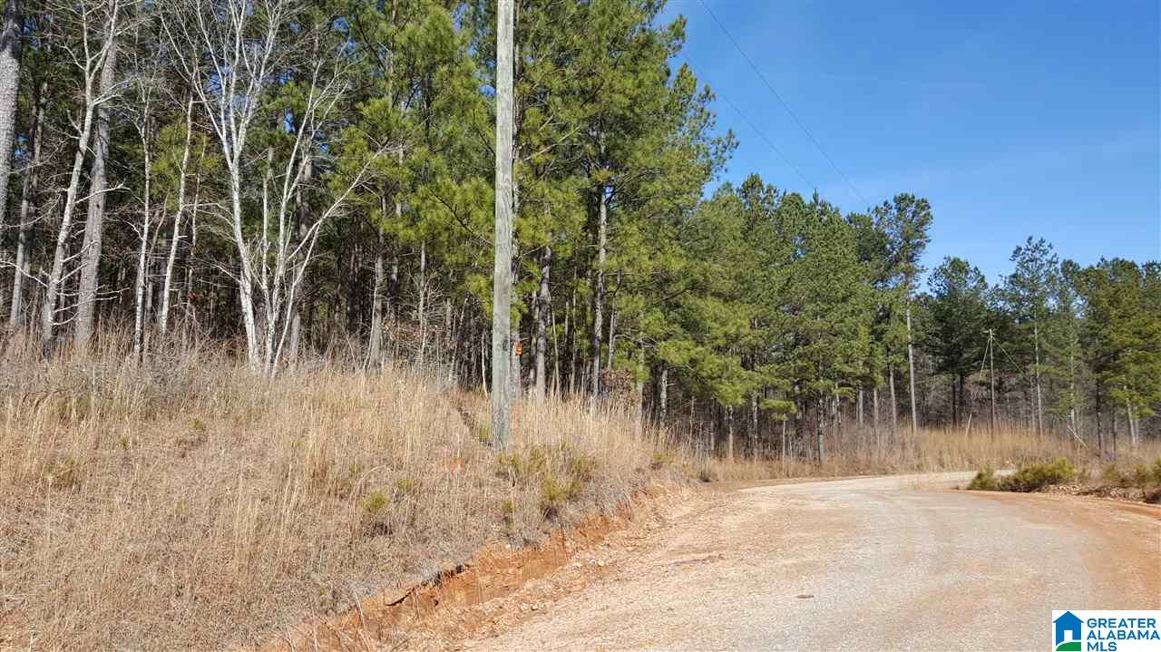 0 Baggett Road, Unit 78 / ACRES Ashland, AL 36251 - Photo 3 of 13