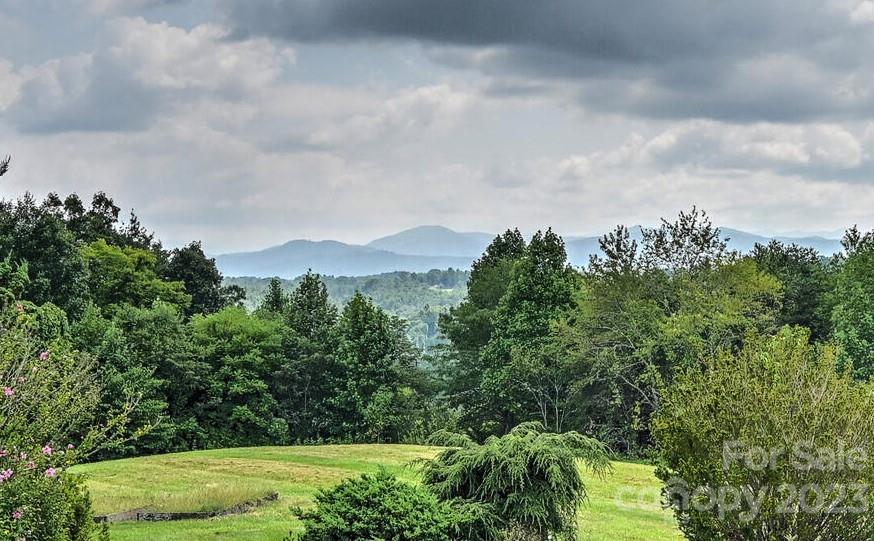 386 Heather Downs Drive Alexander, NC 28701 - Photo 2 of 29 a view of a bunch of trees in the background