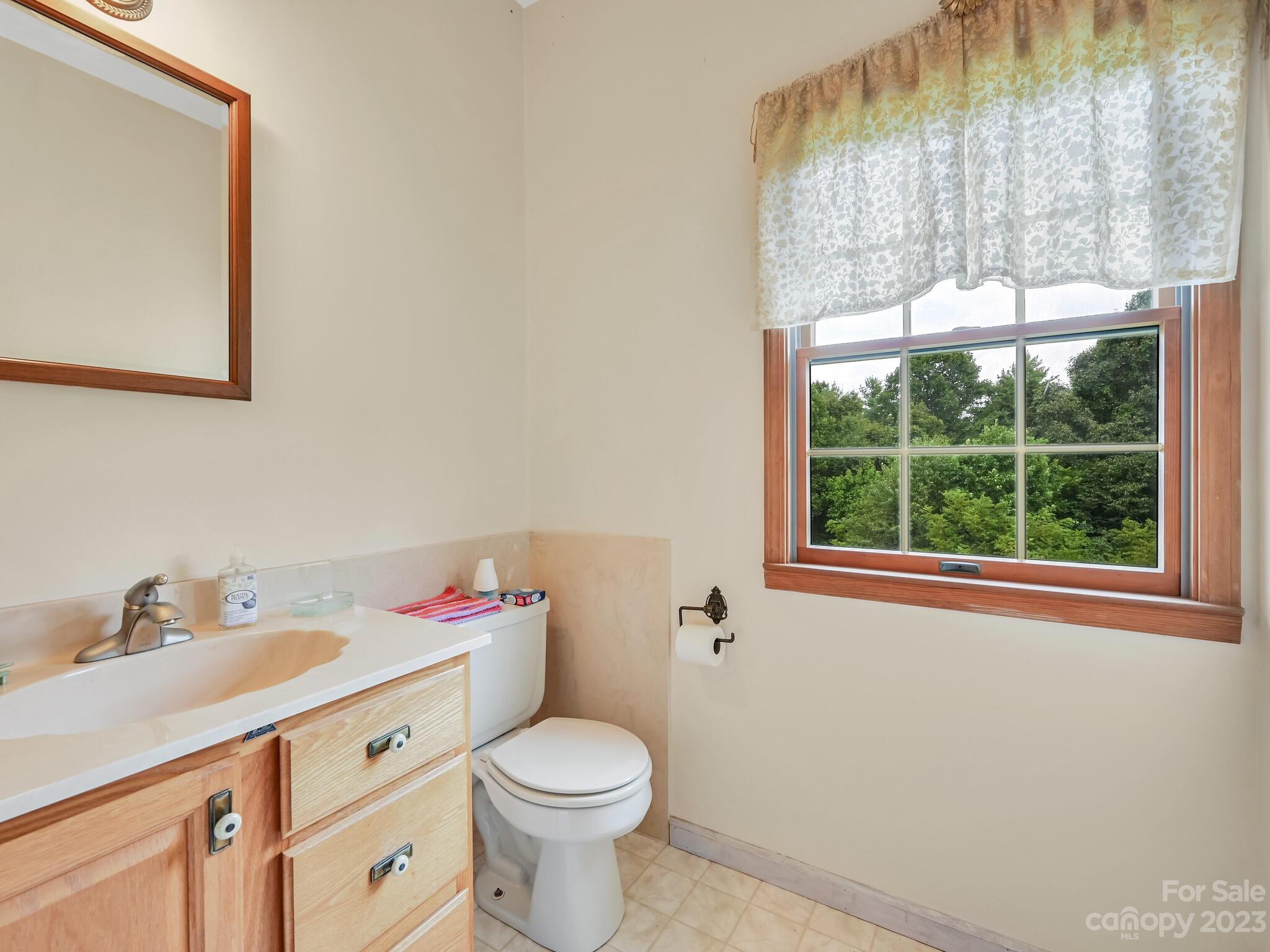 386 Heather Downs Drive Alexander, NC 28701 - Photo 22 of 29 a bathroom with a sink vanity mirror and toilet