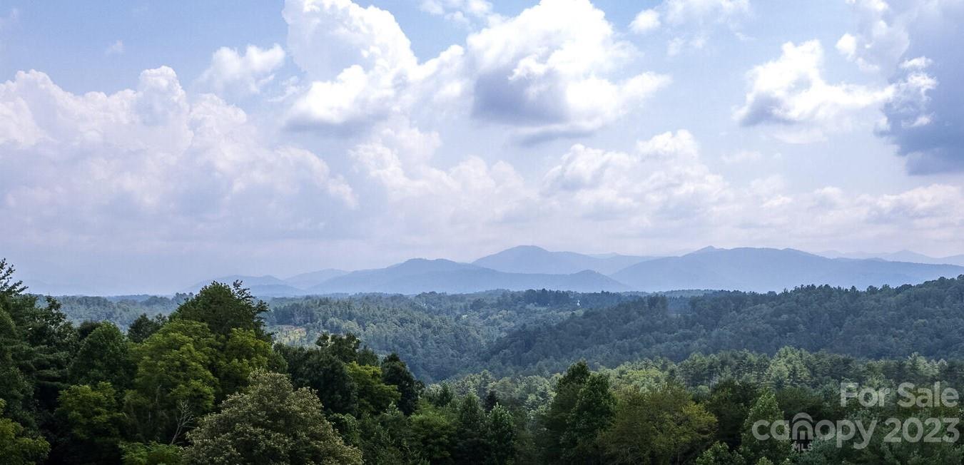 386 Heather Downs Drive Alexander, NC 28701 - Photo 3 of 29