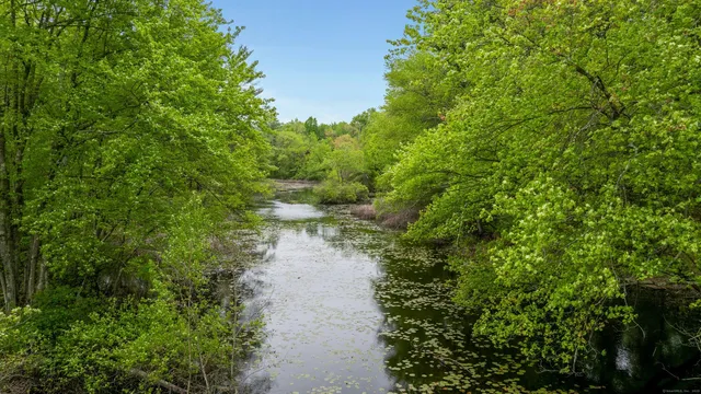 a view of a pathway both side of yard