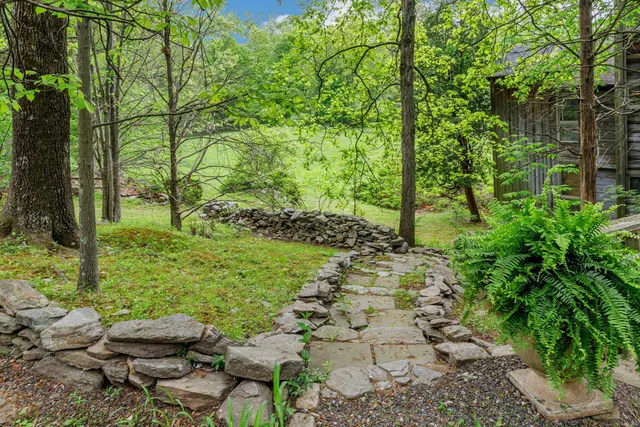 a view of a backyard with plants and a patio