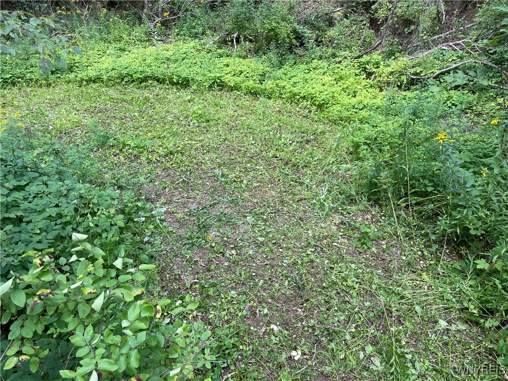 176 Lattabrook Road Horseheads, NY 14845 - Photo 5 of 7