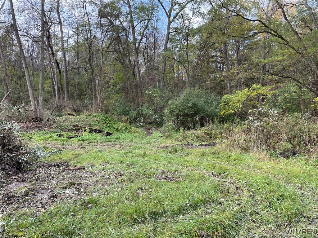 176 Lattabrook Road Horseheads, NY 14845 - Photo 7 of 7