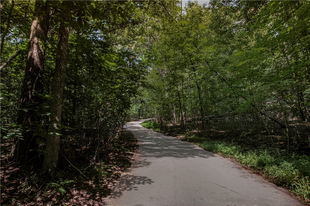 181 Crowe Creek Church Road Six Mile, SC 29682 - Photo 21 of 45
