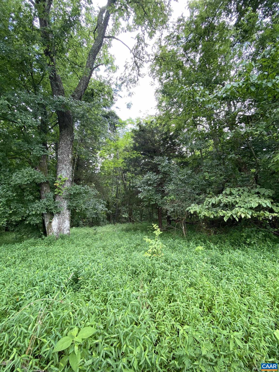 8424 Kilby Road, Unit 2 Culpeper, VA 22701 - Photo 3 of 4 Gallery Image 3