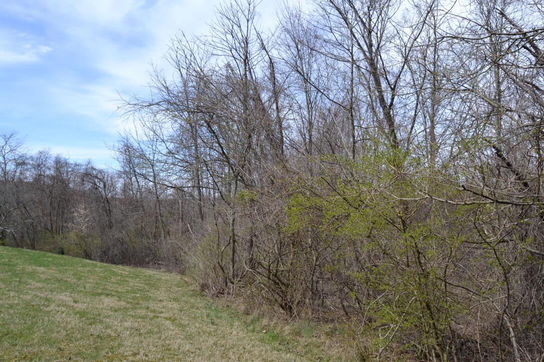 12390 Dodds Road Southeast Heath, OH 43056 - Photo 9 of 34 Surrounded by woods