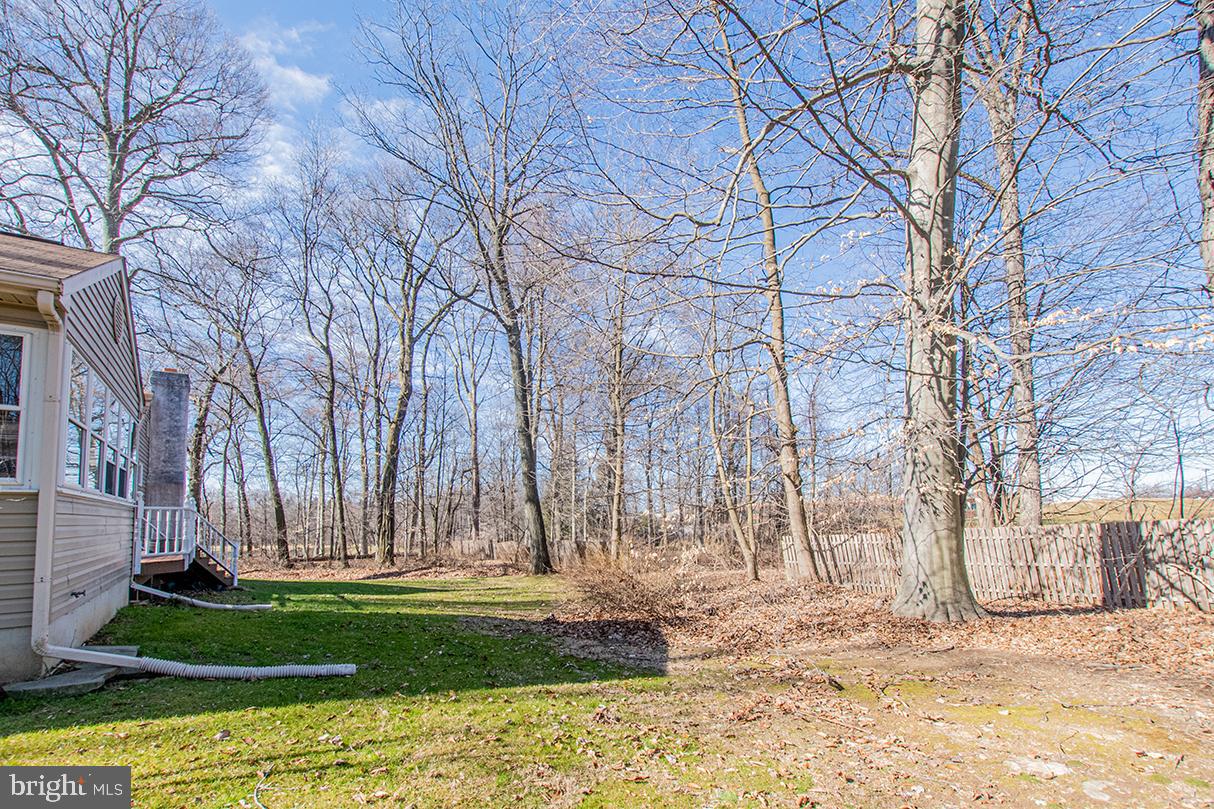219 Dowlin Forge Road Exton, PA 19341 - Photo 11 of 34 Back yard