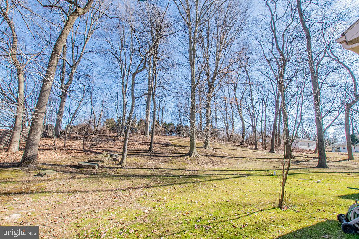219 Dowlin Forge Road Exton, PA 19341 - Photo 12 of 34 Side yard