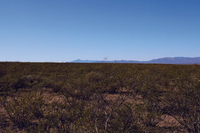 $8,900 | 4.28-acres 4.28-acres Rand Place, Unit 35, Douglas, AZ 85607