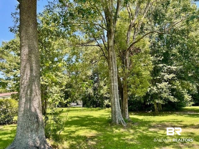 0 West Carolyn Avenue Foley, AL 36535 - Photo 3 of 18