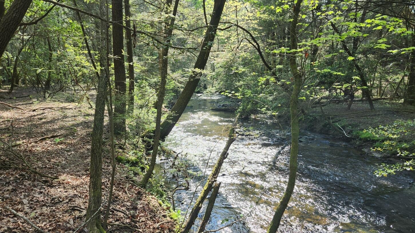 123 Old Holywater Road Tracy City, TN 37387 - Photo 2 of 10 a backyard of a house with lots of green space