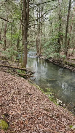 $123,500 | 123 Old Holywater Road, Tracy City, TN 37387