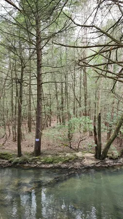 $123,500 | 123 Old Holywater Road, Tracy City, TN 37387