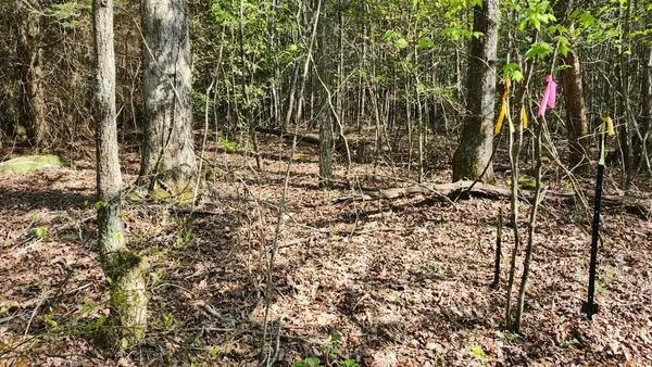 $123,500 | 123 Old Holywater Road, Tracy City, TN 37387