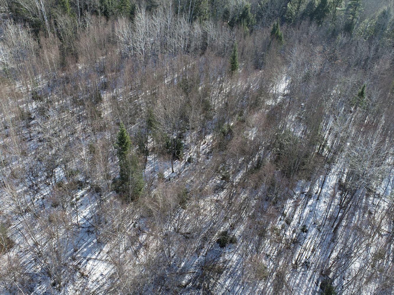89 Town Farm Road Anson, ME 04958 - Photo 43 of 50 DJI_0011
