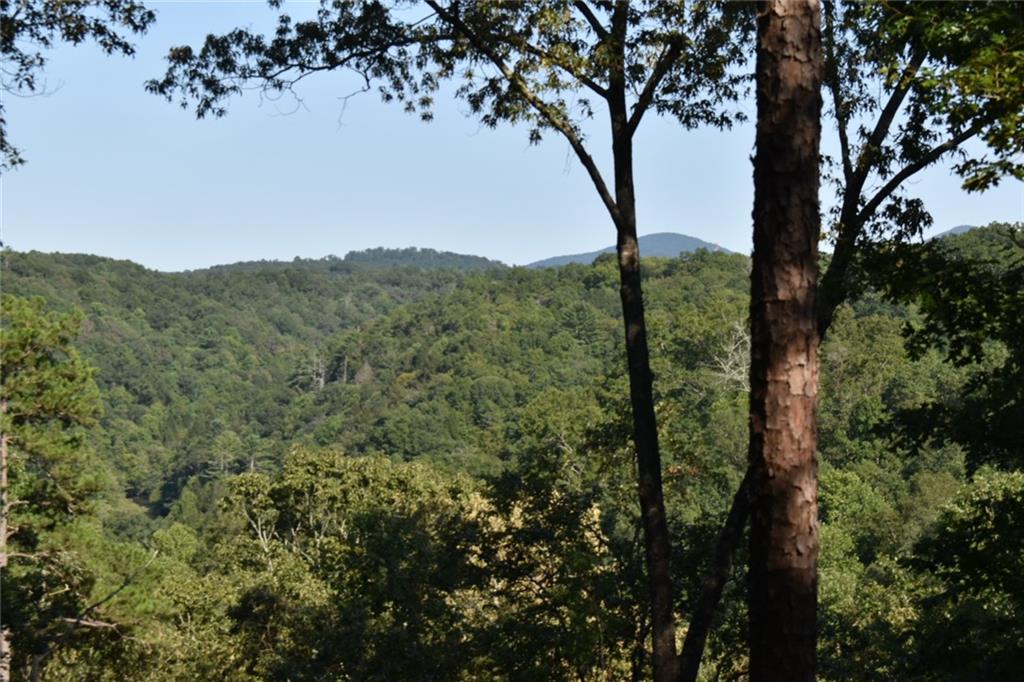 11.19 Acres - Rocktree Road Dahlonega, GA 30533 - Photo 1 of 1 Gallery Image 1