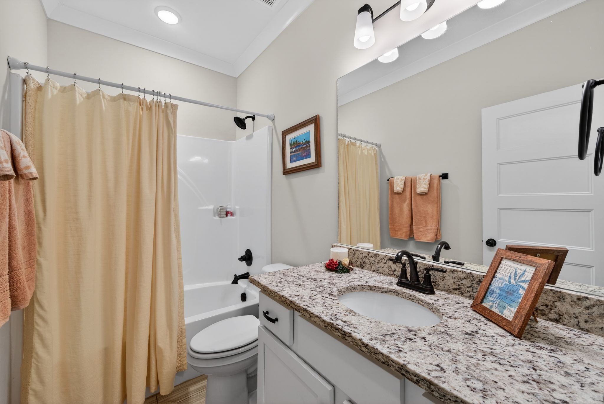3834 Holly Grove Road Lascassas, TN 37085 - Photo 17 of 60 a bathroom with a granite countertop sink a toilet and a large mirror