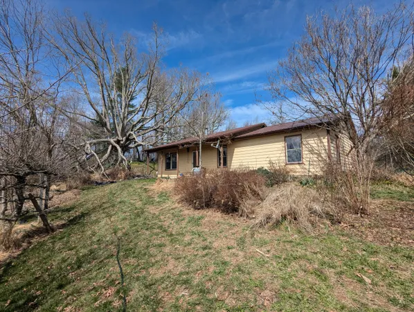 a backyard of a house with large trees and brick wall