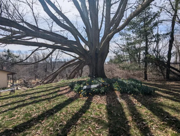 a backyard of a house with lots of green space