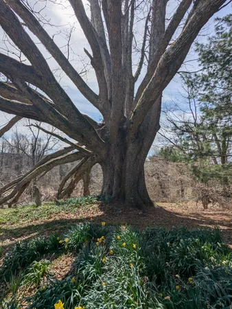 a backyard of a house with wooden fence and roof