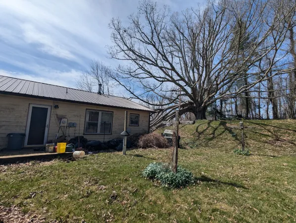 a backyard of a house with plants and trees