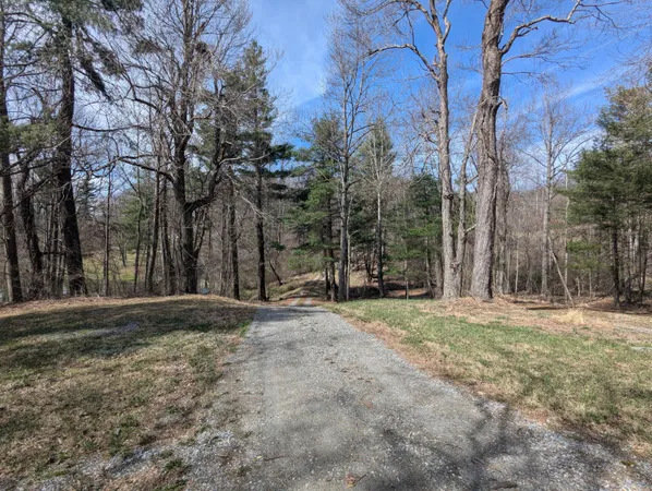 a view of dirt yard with large trees