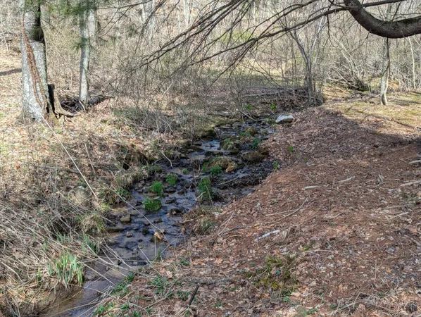 a view of a yard with a tree