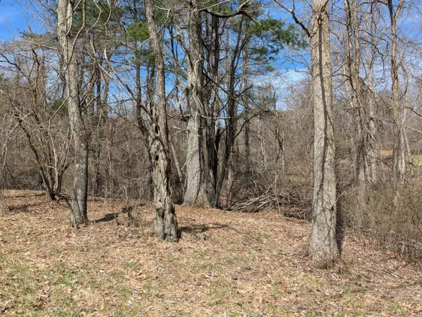 a view of wooden fence and trees