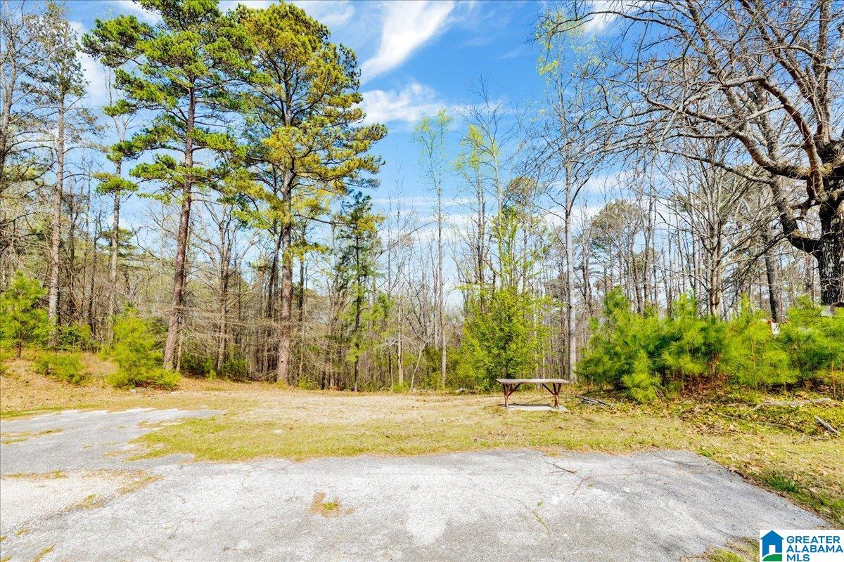 6942 Roper Road Trussville, AL 35173 - Photo 31 of 32