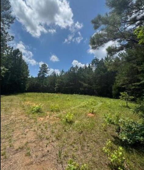 Lot N5 Old Edgefield Road Troy, SC 29848 - Photo 1 of 7
