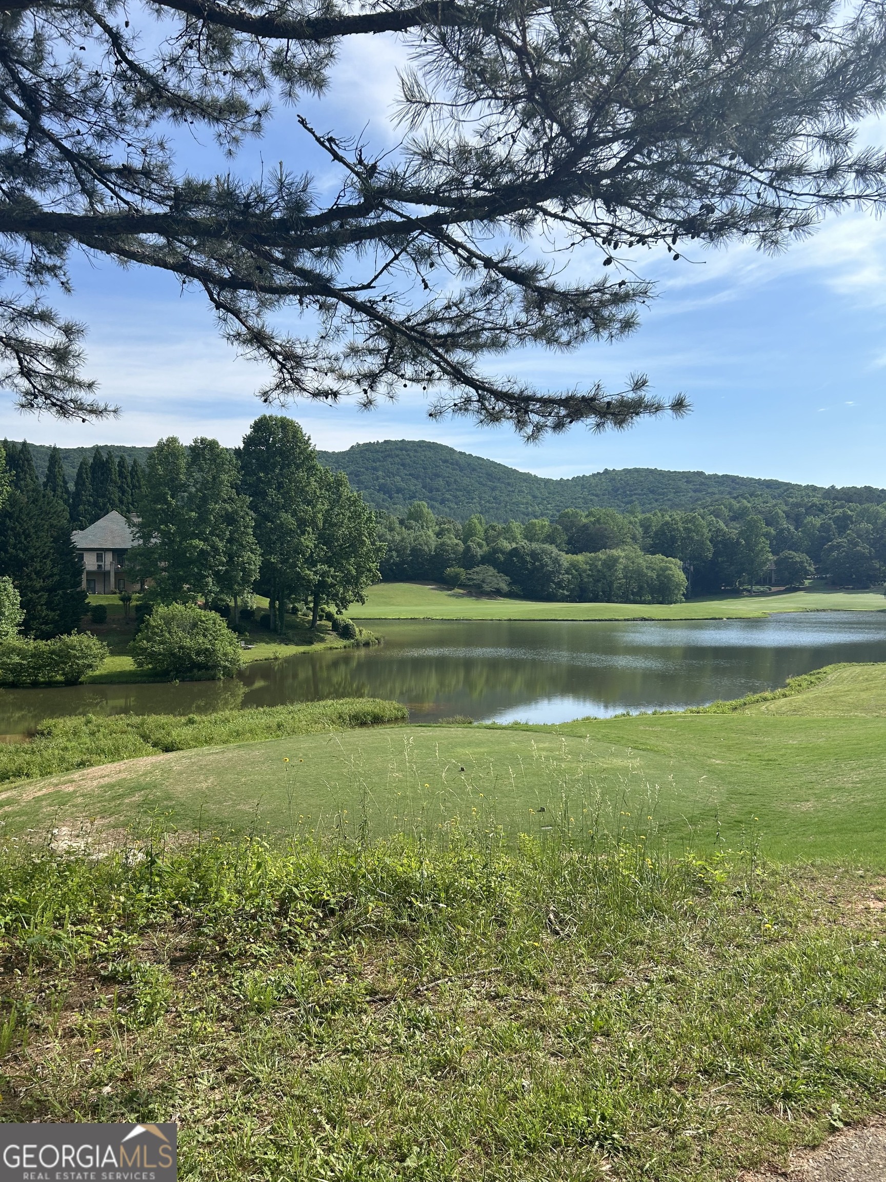 0 Orchard Drive Clarkesville, GA 30523 - Photo 2 of 5 a view of a lake with a big yard