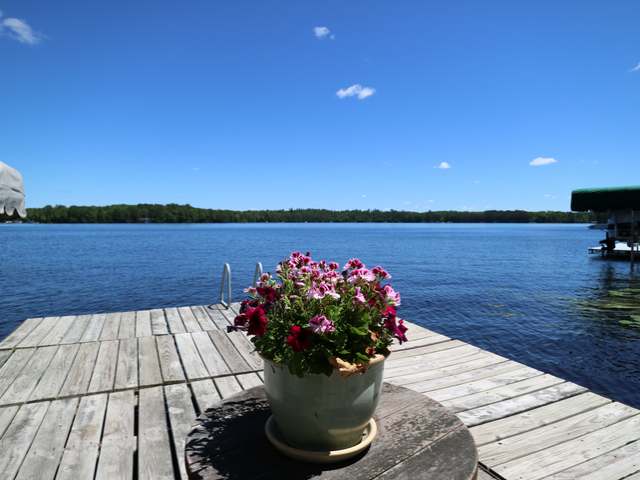 7652 Wheeler Island Road Three Lakes, WI 54562 - Photo 17 of 19 Gallery Image 17