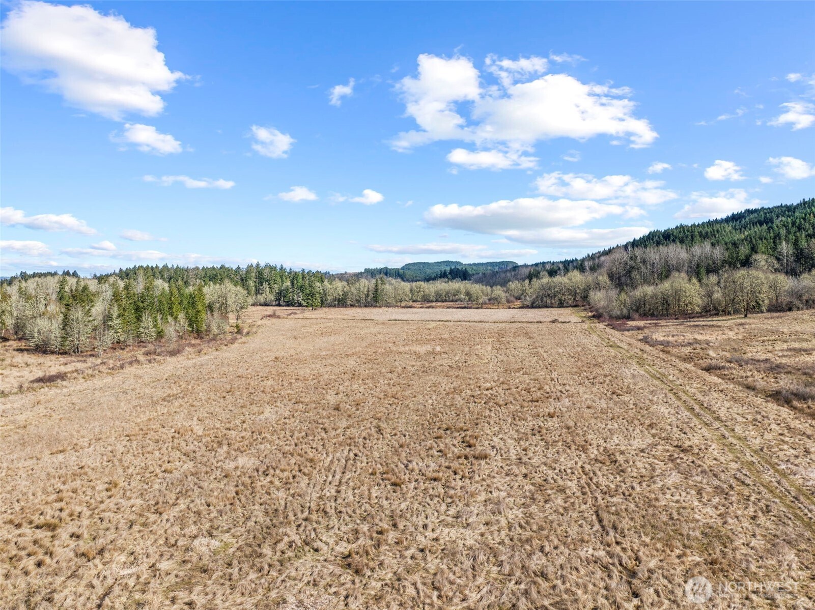 840 Evans Road Toledo, WA 98591 - Photo 31 of 39