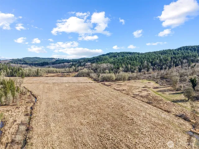a view of a lake with a mountain