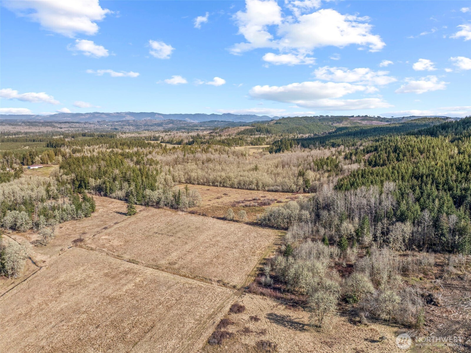 840 Evans Road Toledo, WA 98591 - Photo 34 of 39