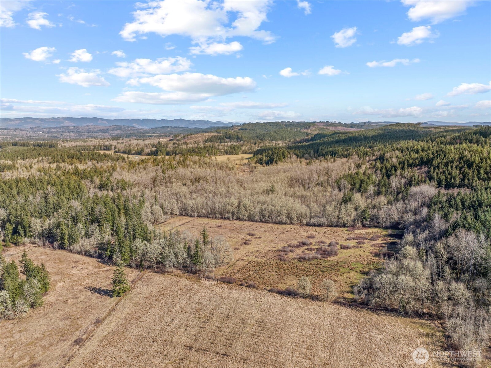 840 Evans Road Toledo, WA 98591 - Photo 35 of 39