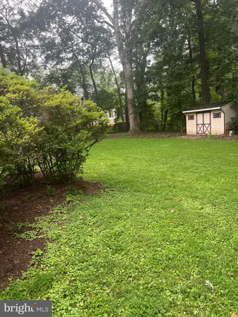 a view of a trees with a yard