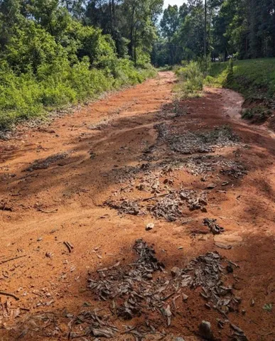 a view of a dirt road with trees