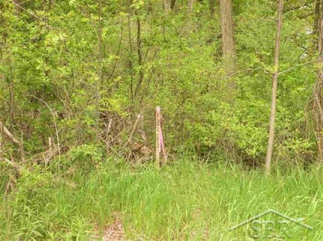 18405 Ithaca Road St. Charles, MI 48655 - Photo 2 of 8