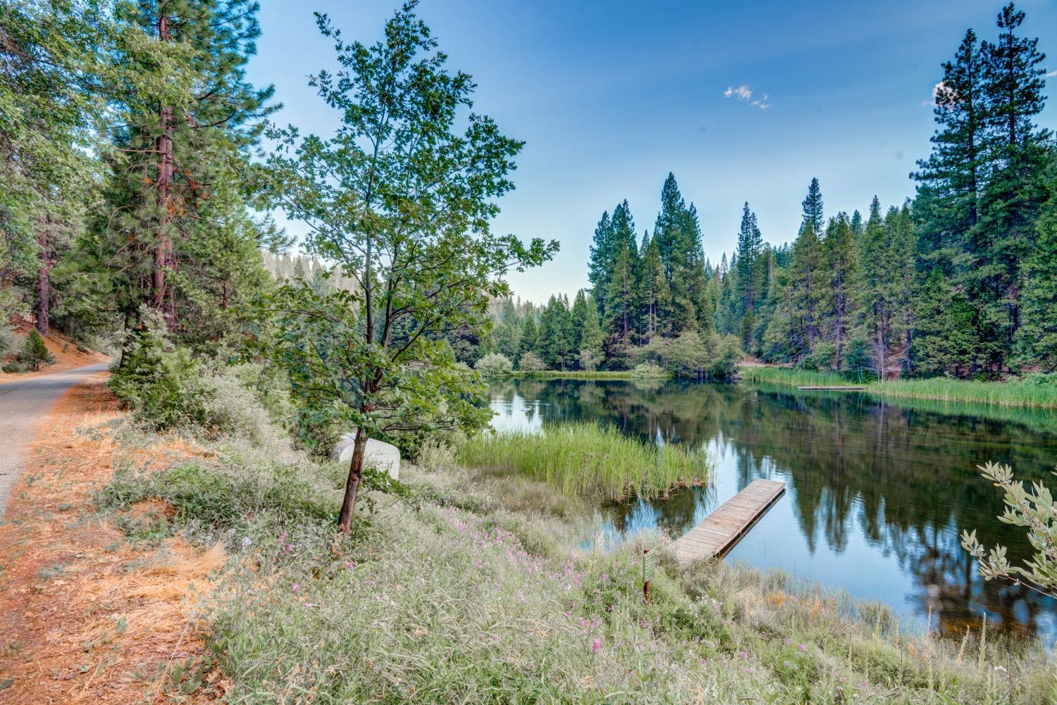 50062 Poplar Road Oakhurst, CA 93644 - Photo 32 of 38 a body of water with a tree in the background