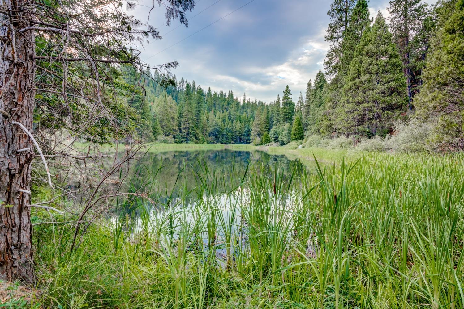 50062 Poplar Road Oakhurst, CA 93644 - Photo 33 of 38 a view of a lake view with a big yard