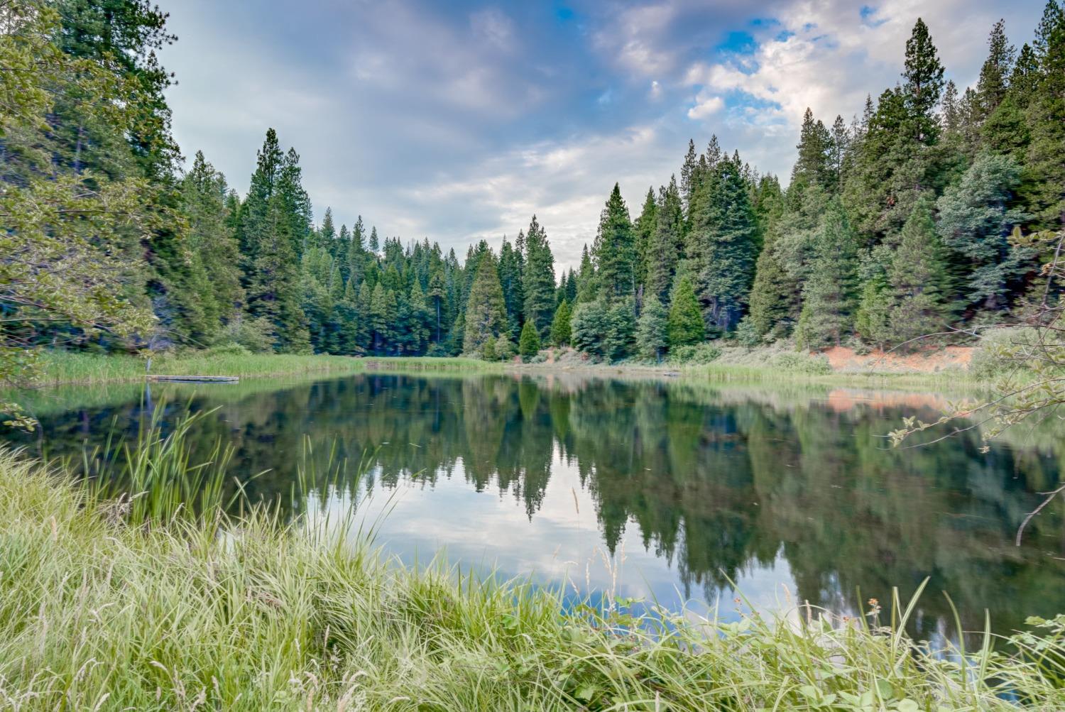 50062 Poplar Road Oakhurst, CA 93644 - Photo 34 of 38 a view of a lake with green space