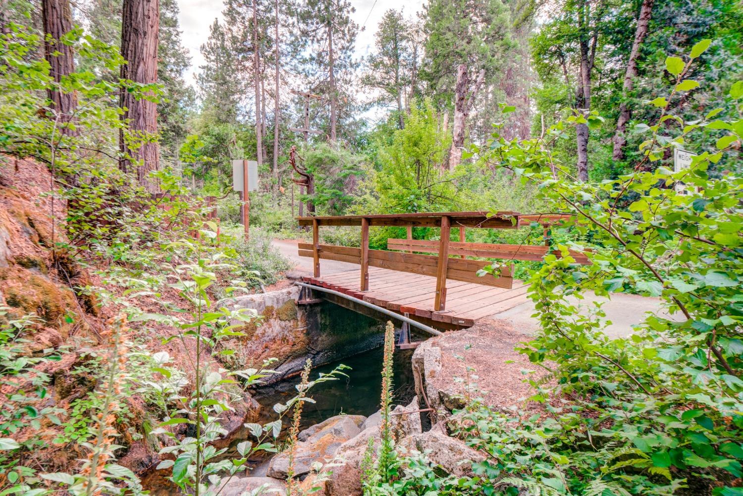 50062 Poplar Road Oakhurst, CA 93644 - Photo 38 of 38 a view of a garden