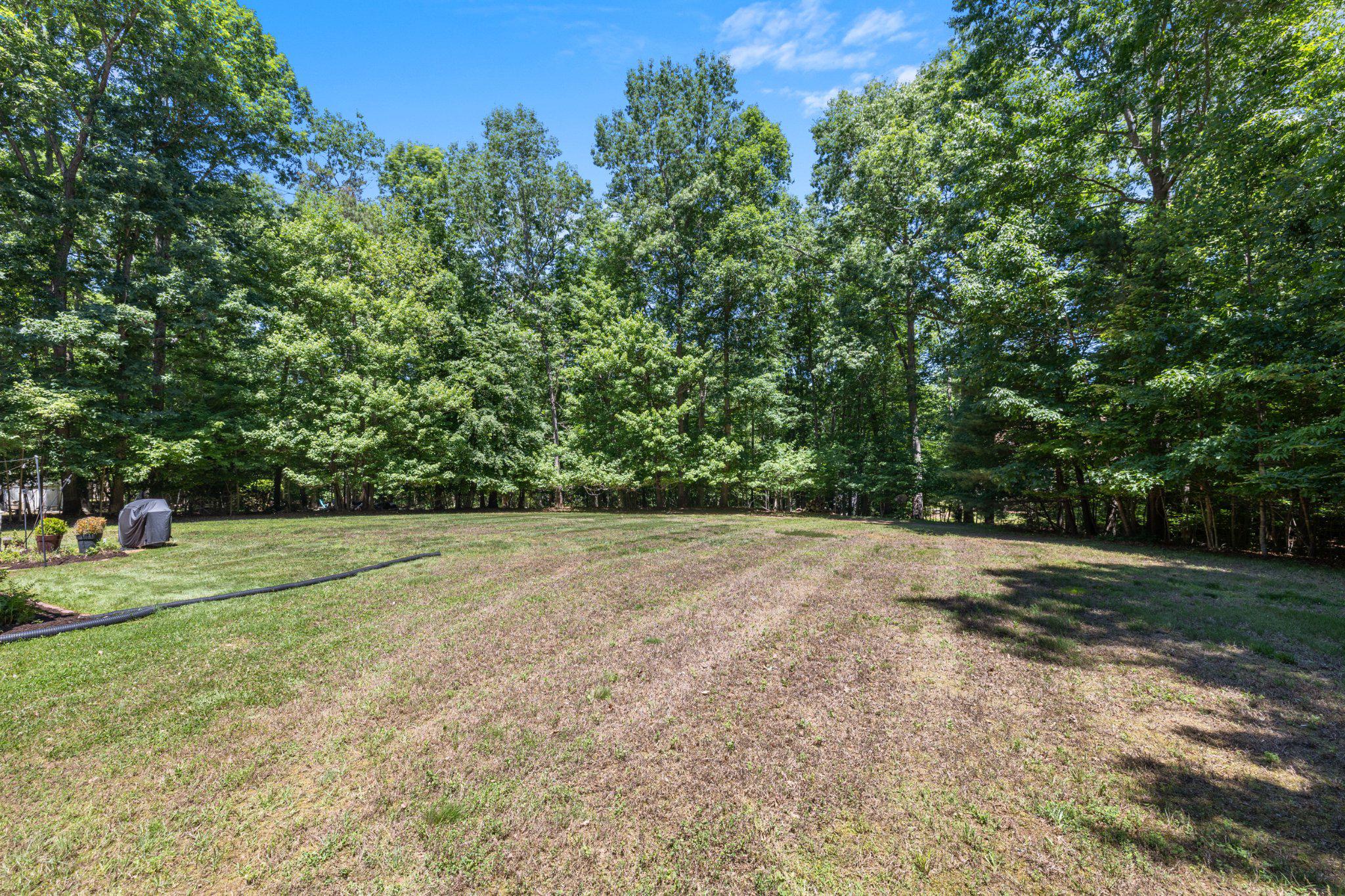 801 Mitchell Point Road Mineral, VA 23117 - Photo 54 of 74 Backyard