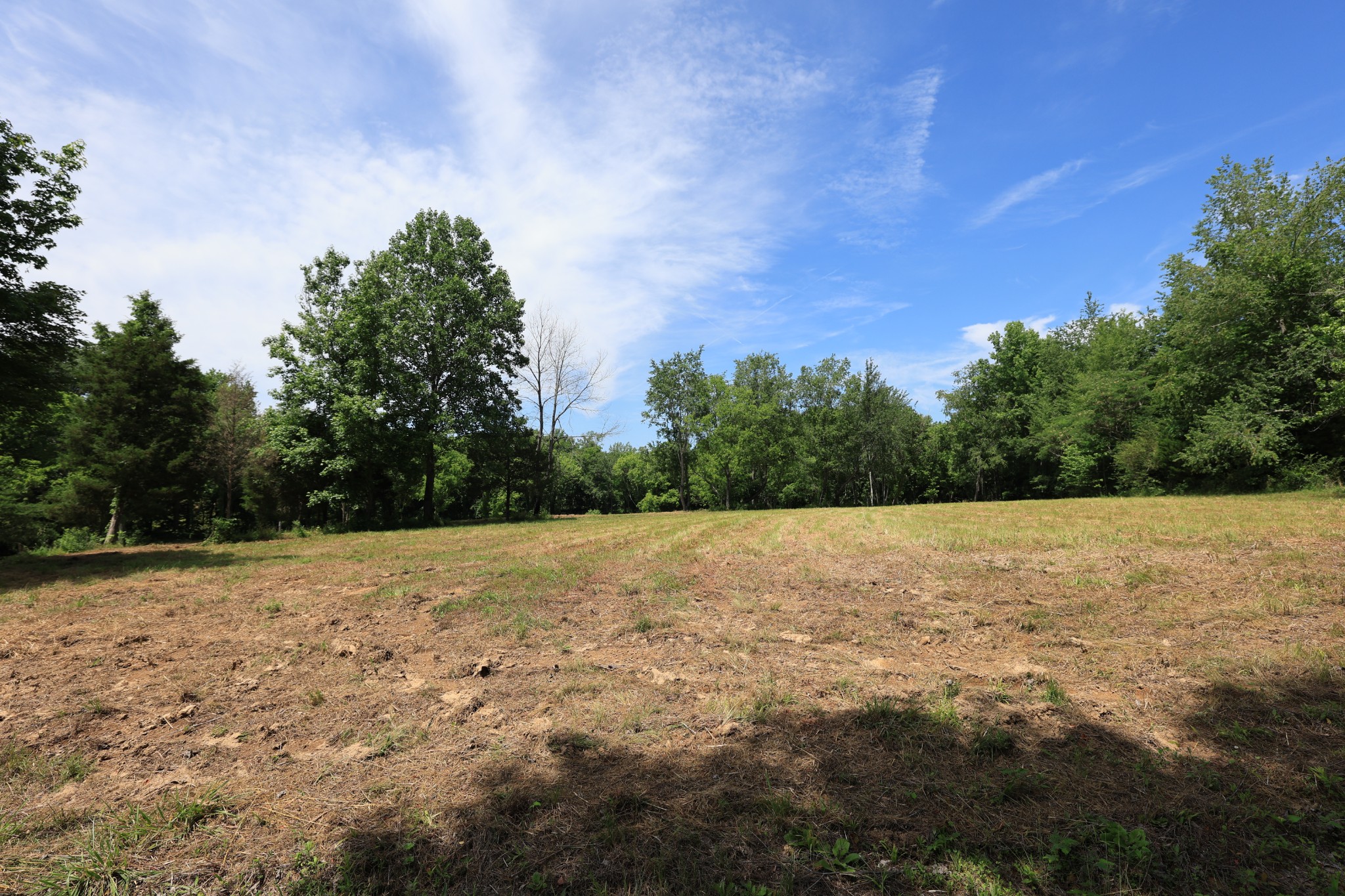 5 Poplar Ridge Lane Chapmansboro, TN 37035 - Photo 18 of 34 a view of big yard with large trees