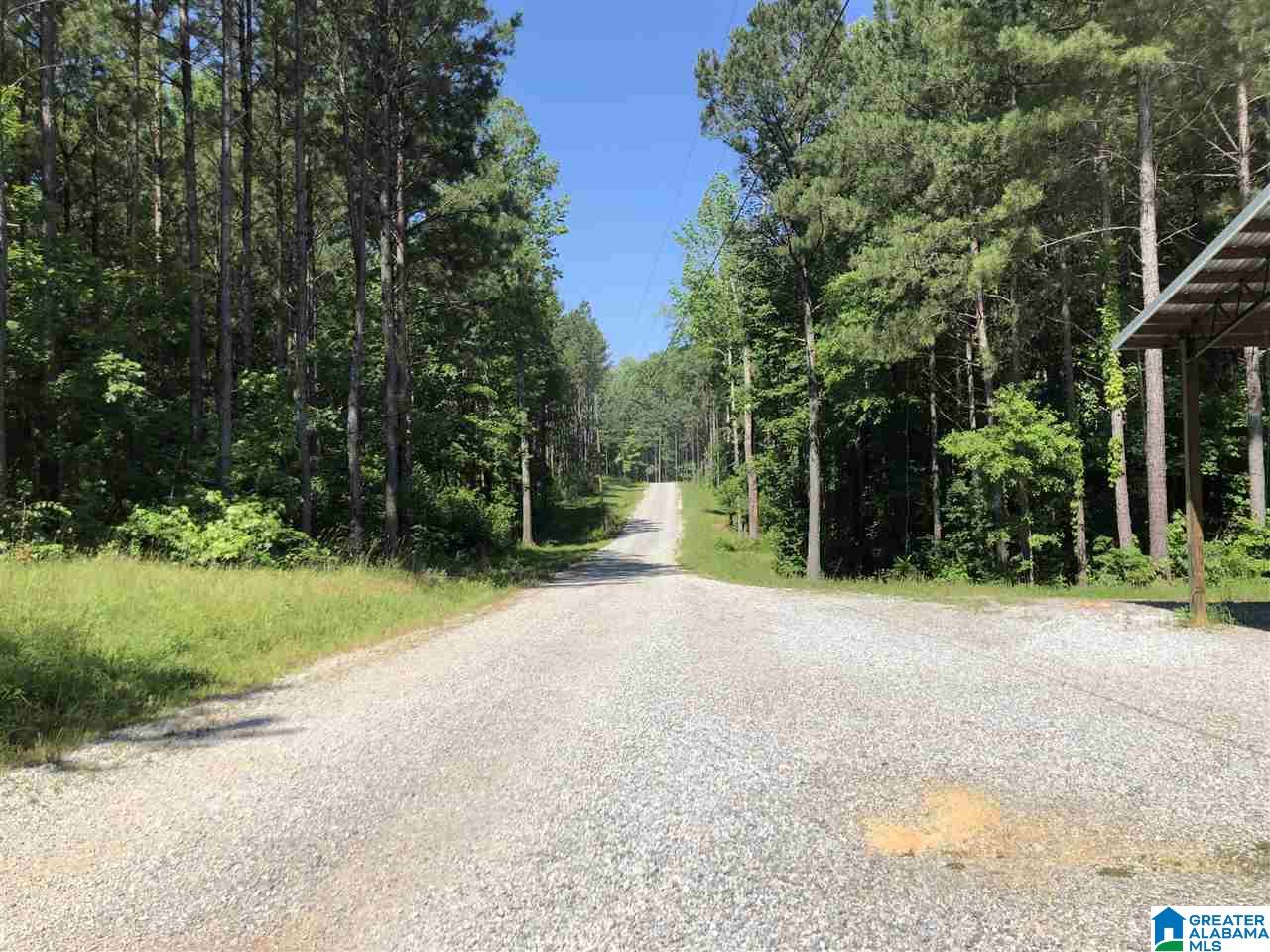 1210 Florida Road Pell City, AL 35125 - Photo 48 of 50