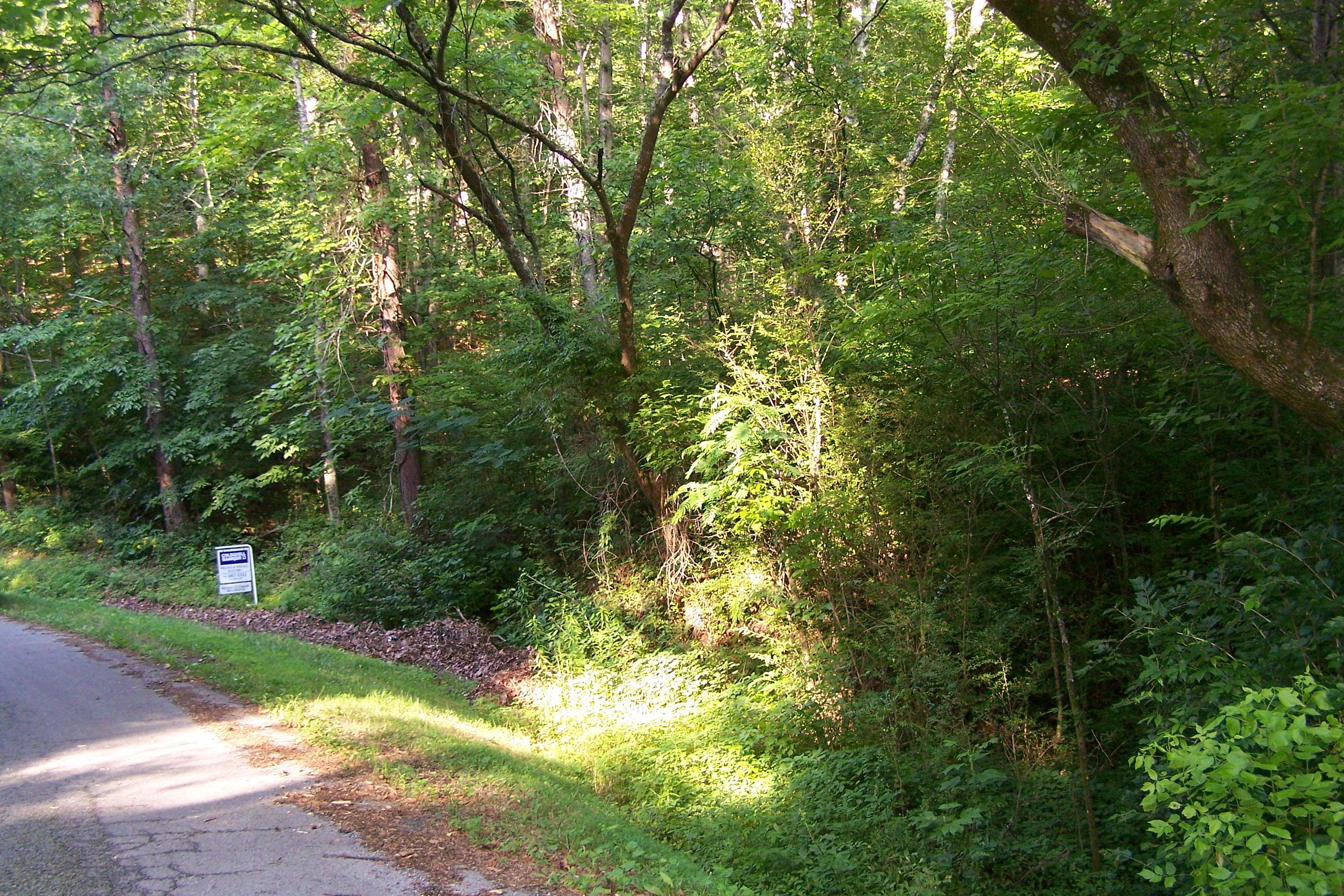 275 Haney Hollow Road Clinton, TN 37716 - Photo 3 of 7 105_0905