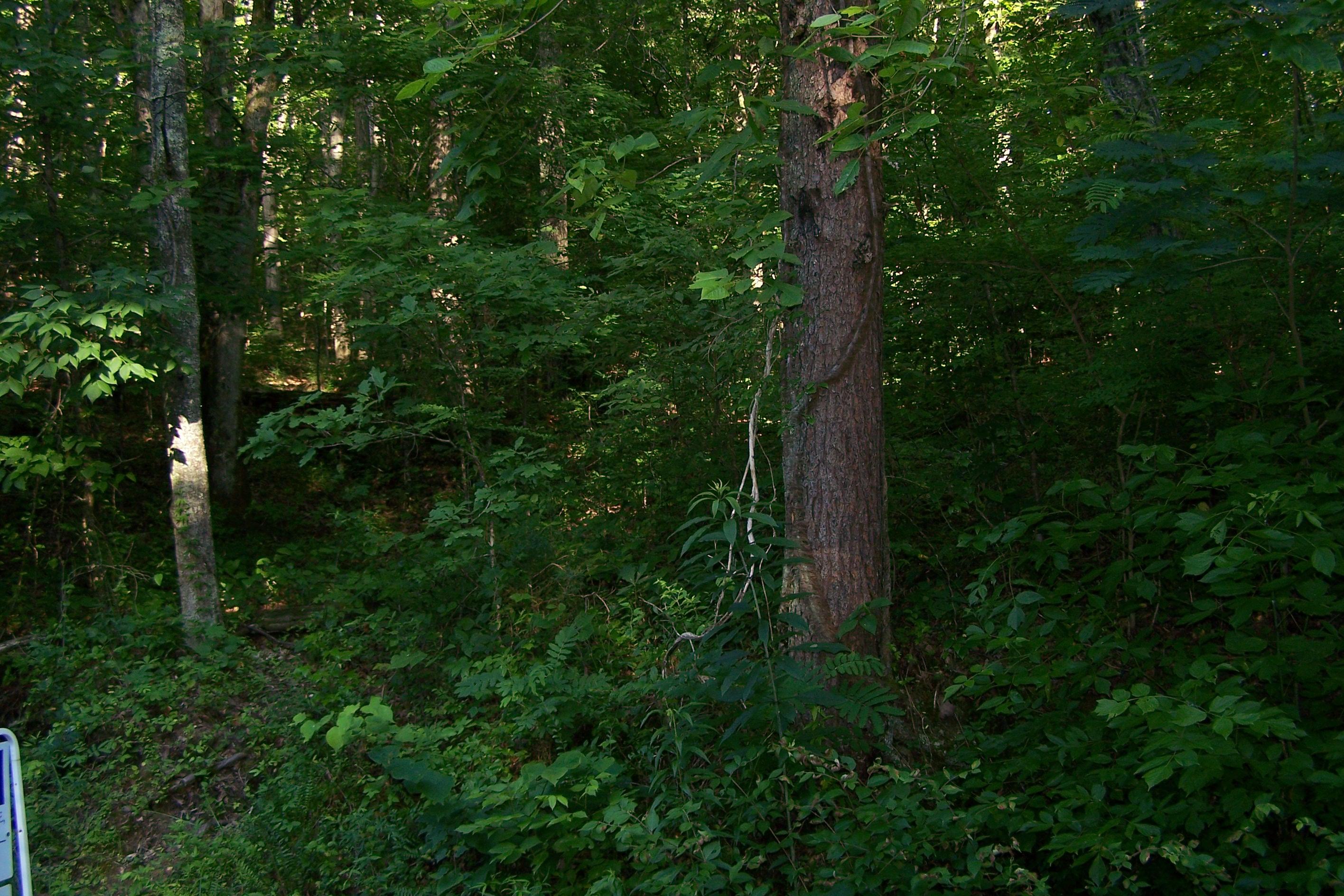 275 Haney Hollow Road Clinton, TN 37716 - Photo 5 of 7 105_0908