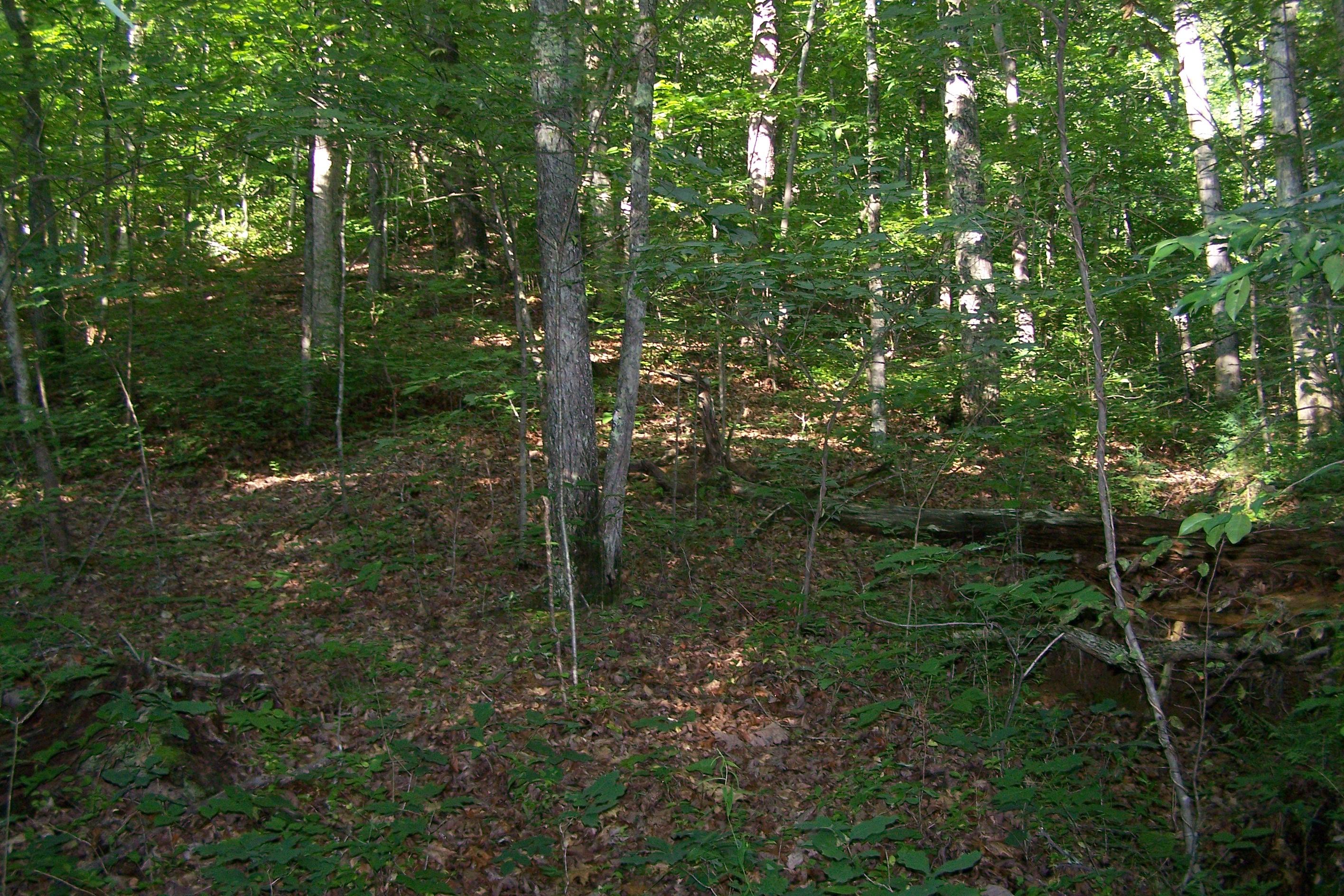 275 Haney Hollow Road Clinton, TN 37716 - Photo 6 of 7 105_0913